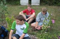 photo232_small.jpg