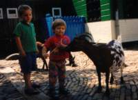 photo62_small.jpg
