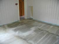 photo170_small.jpg
