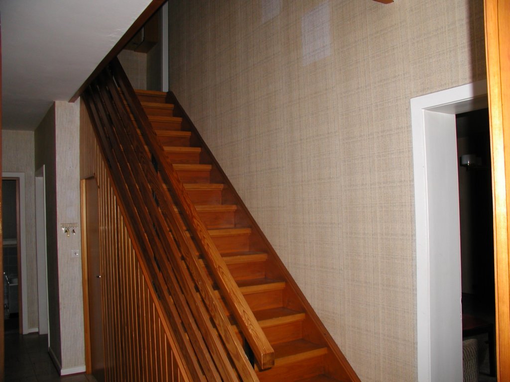photo19.jpg