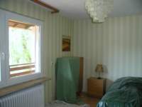 photo193_small.jpg