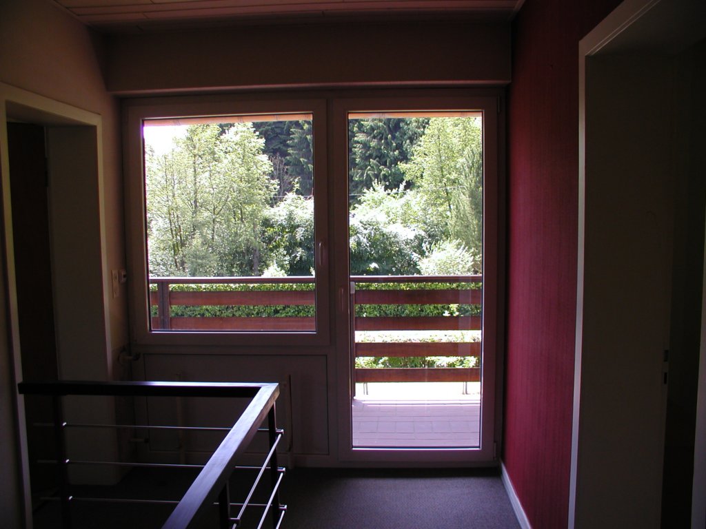 photo194.jpg